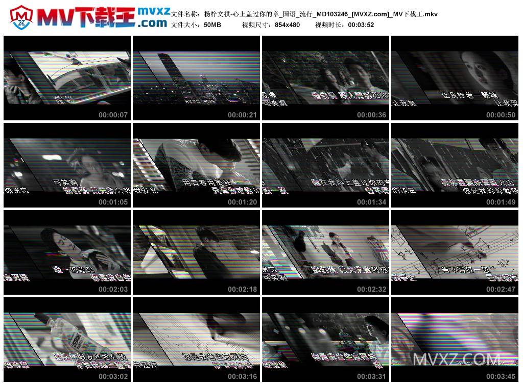 杨梓文祺-心上盖过你的章_国语_流行_MD103246